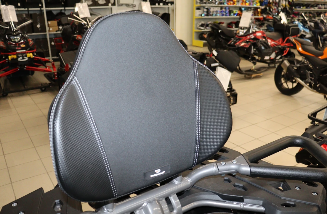 Квадроцикл PROMAX RENEGADE 300 LONG WINCH PRO (2025) в Магнитогорске