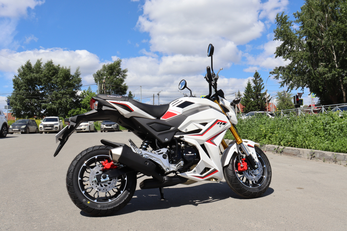 Мотоцикл PROMAX STRYKER 200(49) 2.0 в Магнитогорске