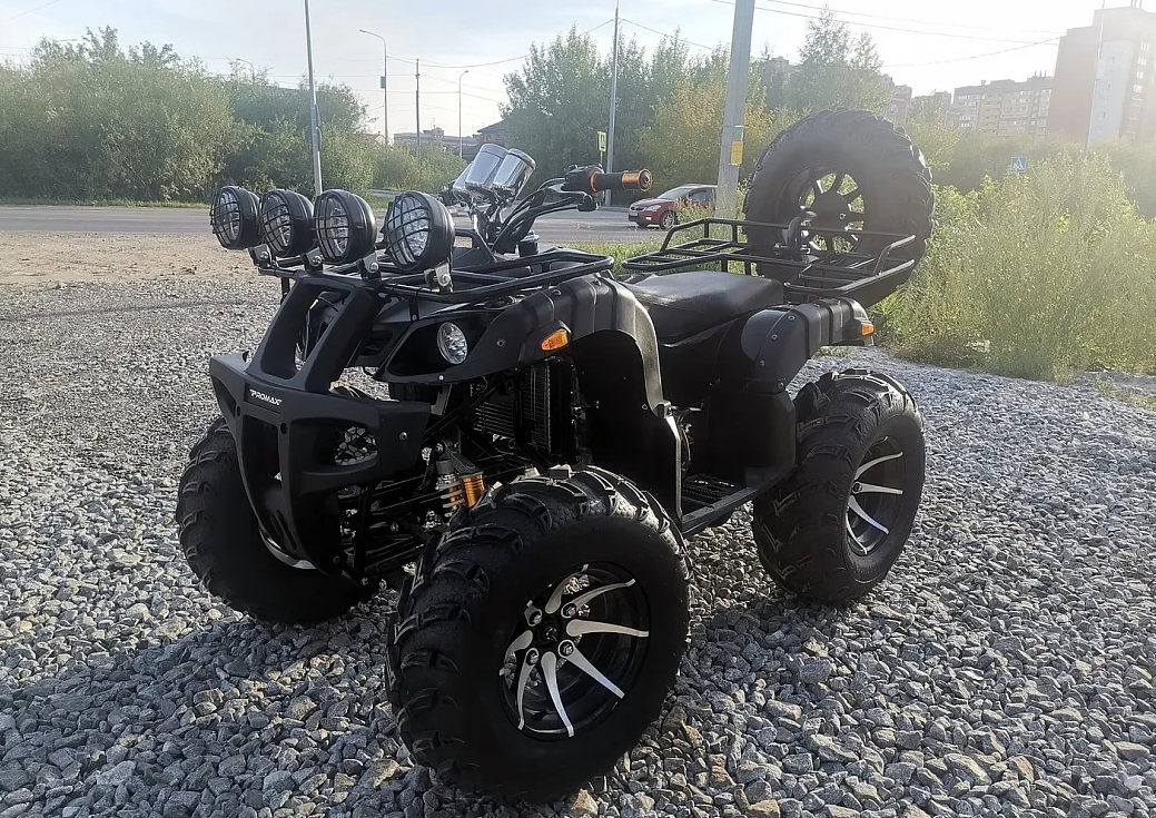 Квадроцикл PROMAX LEO 300 Max (кардан) в Магнитогорске
