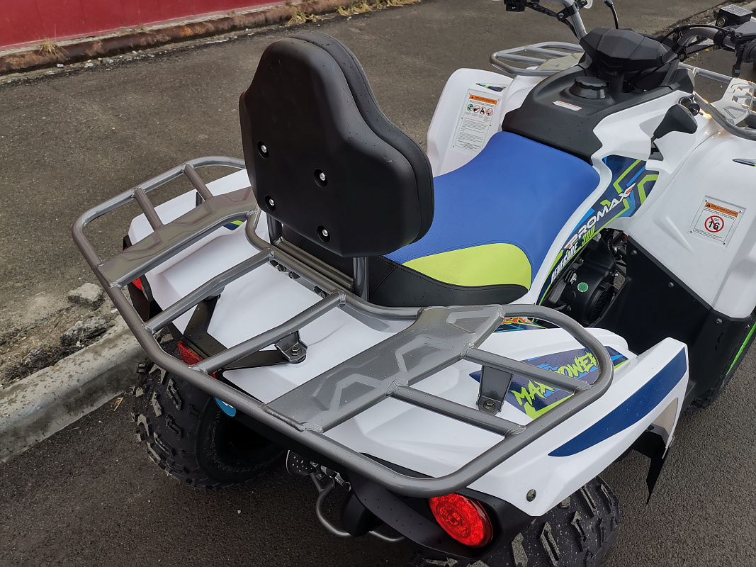 Квадроцикл PROMAX RENEGADE 280 LUX (2025) в Магнитогорске