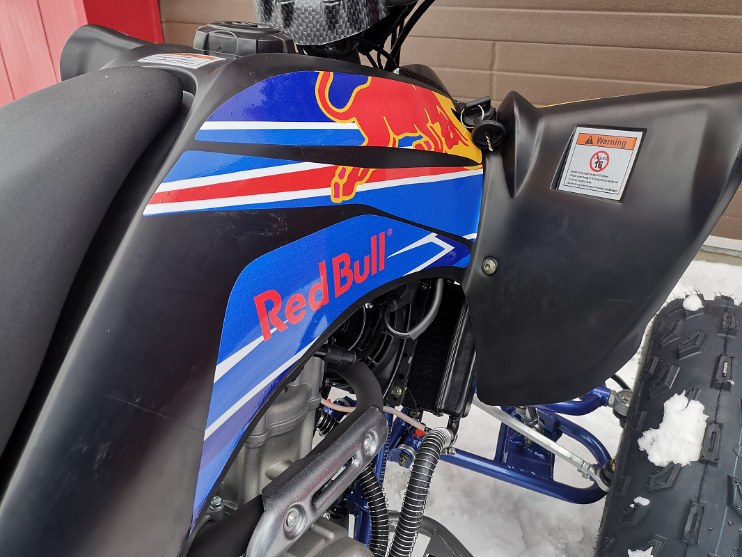 Квадроцикл PROMAX RAPTOR 300 NEW RedBull в Магнитогорске