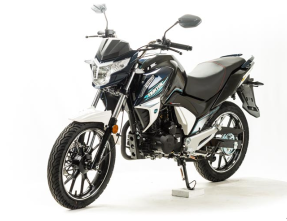 Мотоцикл MOTOLAND (МОТОЛЕНД) FIGHTER 250 в Магнитогорске