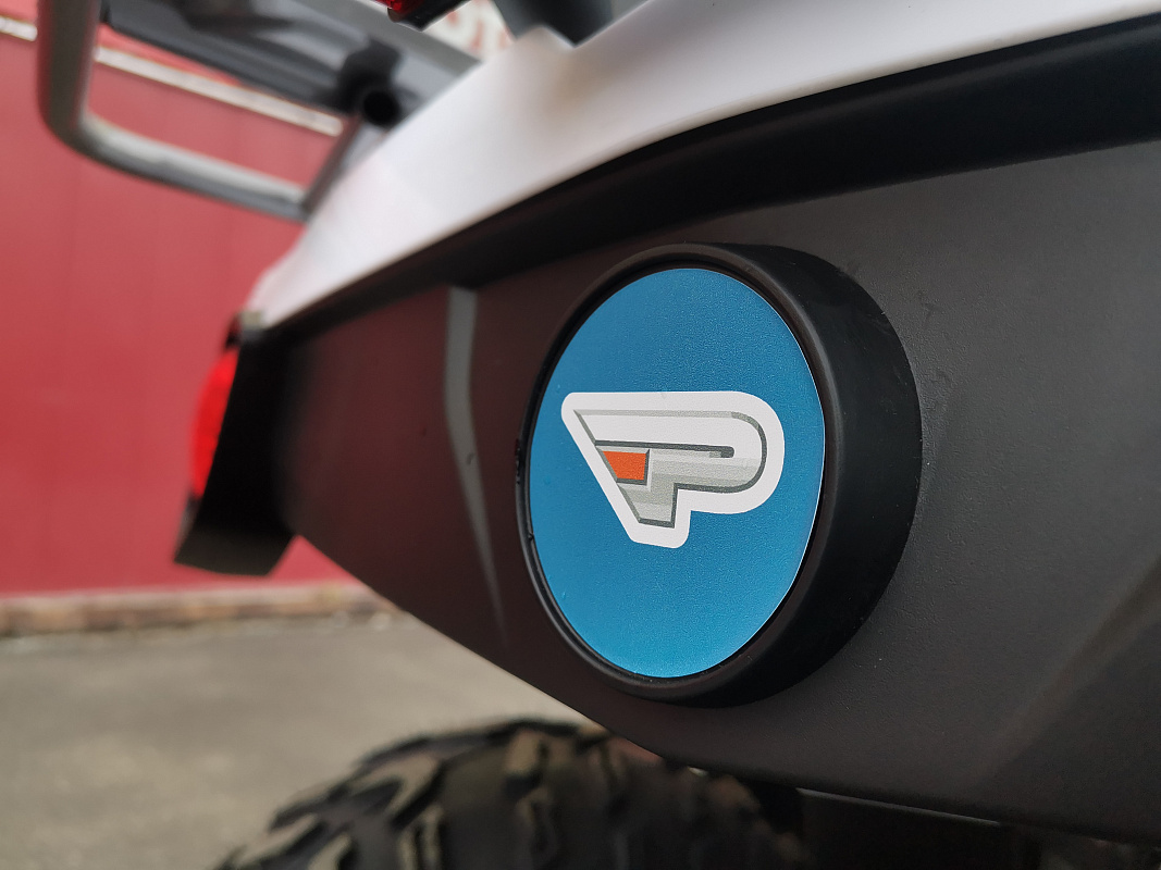 Квадроцикл PROMAX RENEGADE 280 LUX (2025) в Магнитогорске