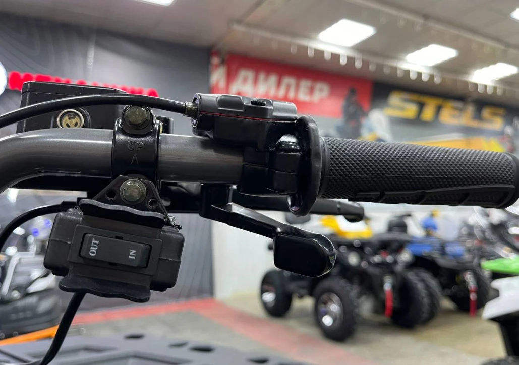 Квадроцикл PROMAX RENEGADE 300 LONG WINCH PRO (2025) в Магнитогорске