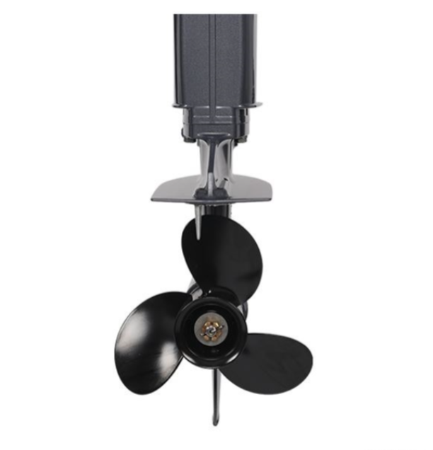 Лодочный мотор ALLFA CG Т40FW S в Магнитогорске