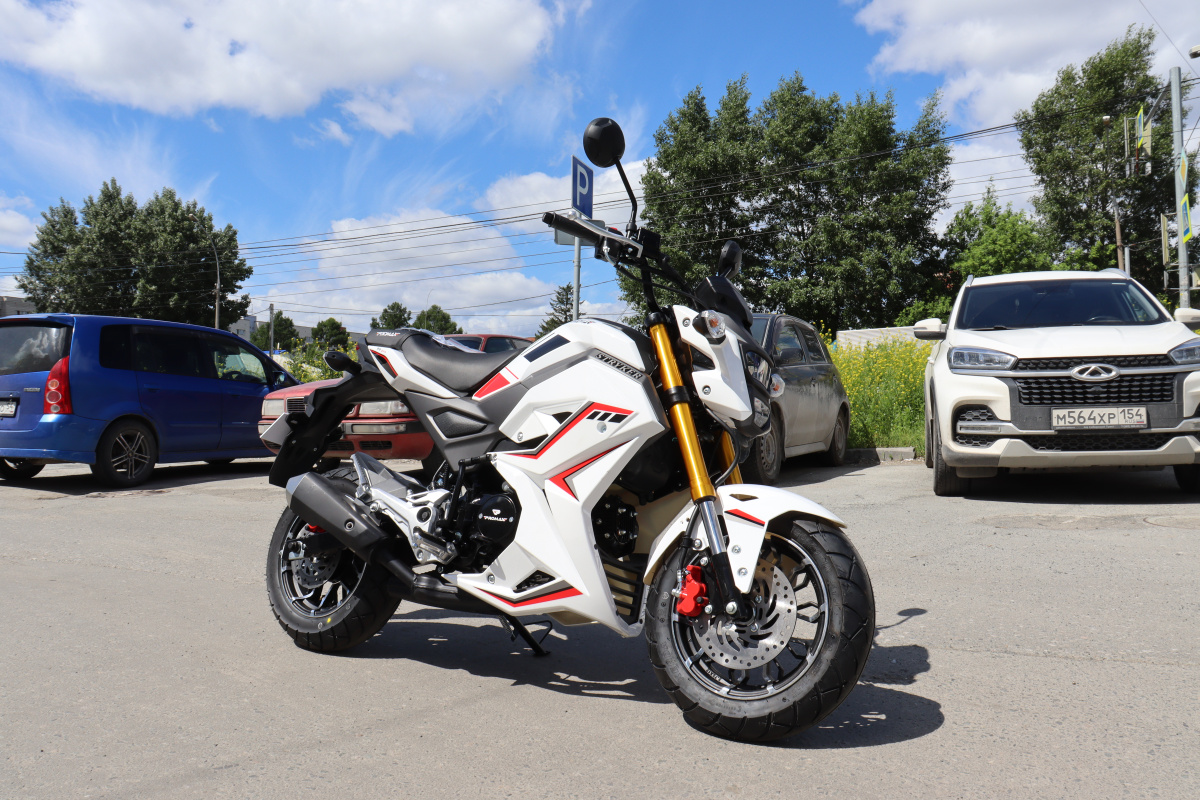 Мотоцикл PROMAX STRYKER 200(49) 2.0 в Магнитогорске