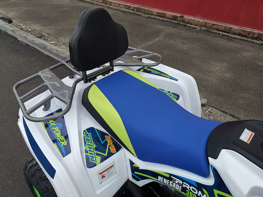 Квадроцикл PROMAX RENEGADE 280 LUX (2025) в Магнитогорске