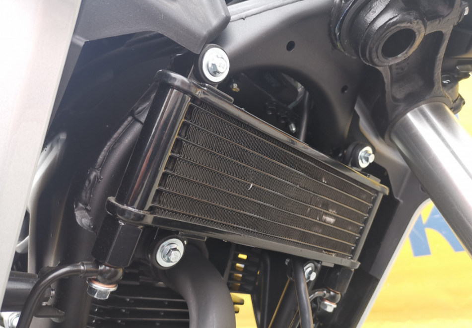 Мотоцикл MOTOLAND (МОТОЛЕНД) 250 CB250 (172FMM-5/PR250) (2022 г.) в Магнитогорске