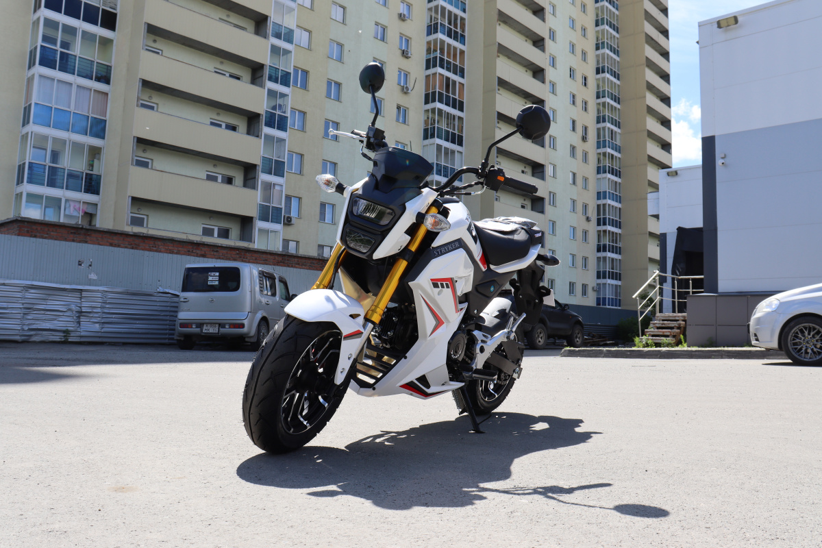 Мотоцикл PROMAX STRYKER 200(49) 2.0 в Магнитогорске