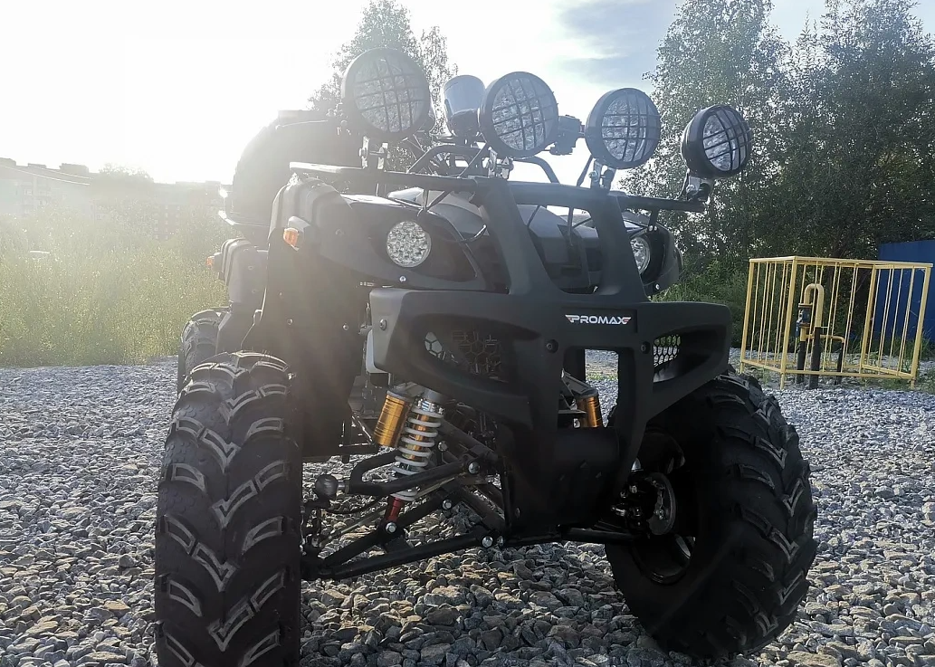 Квадроцикл PROMAX LEO 300 Max (кардан) в Магнитогорске