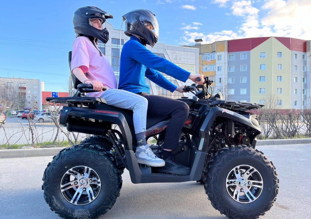 Квадроцикл PROMAX RENEGADE 300 LONG WINCH PRO (2025) в Магнитогорске