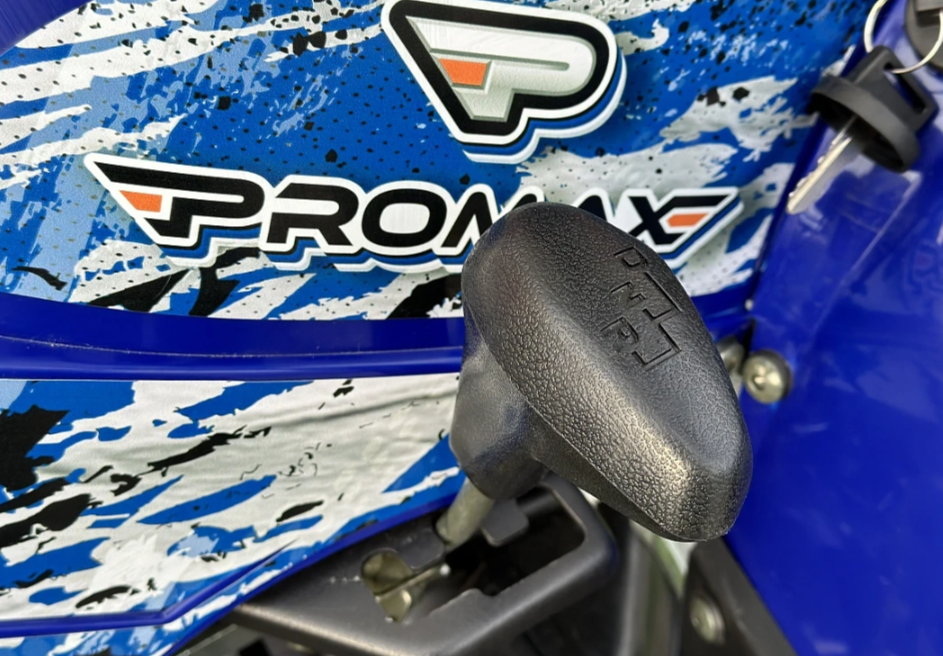  Квадроцикл PROMAX ATV 250 MAX (2025) в Магнитогорске
