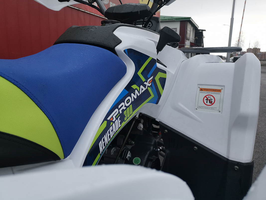 Квадроцикл PROMAX RENEGADE 280 LUX (2025) в Магнитогорске