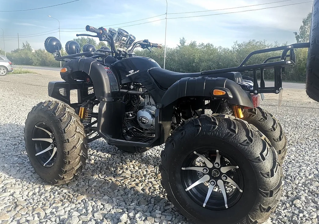 Квадроцикл PROMAX LEO 300 Max (кардан) в Магнитогорске