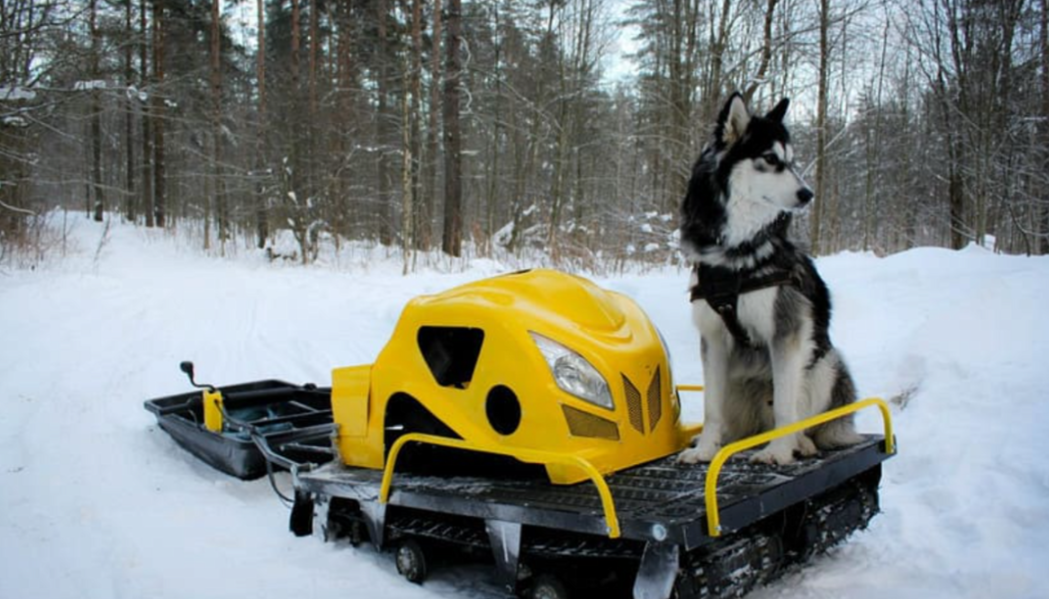 Мотобуксировщик LEBEDEV MOTORS ВОЛКОДАВ POWER V13 в Магнитогорске