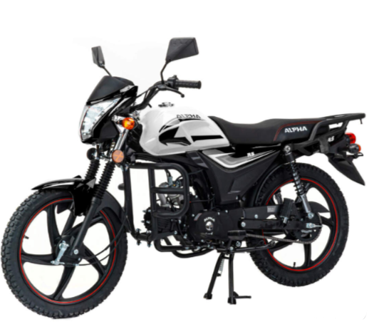 Мопед MOTOLAND (МОТОЛЕНД) Альфа RS 11 (LM48-B) в Магнитогорске