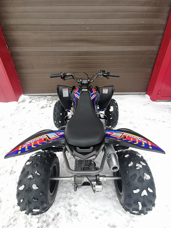 Квадроцикл PROMAX RAPTOR 300 NEW RedBull в Магнитогорске