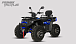 Квадроцикл PROMAX TAURUS 300 MAX-PRO LONG в Магнитогорске