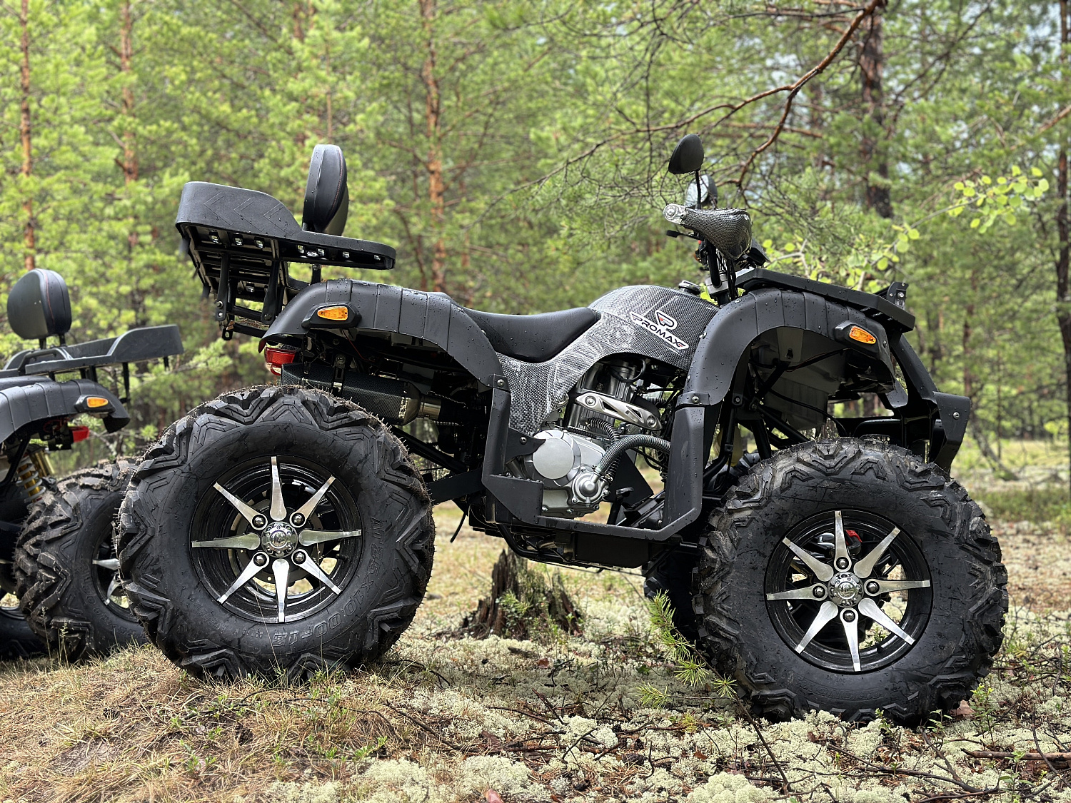 Квадроцикл PROMAX 320 DOMINATOR (2025) в Магнитогорске