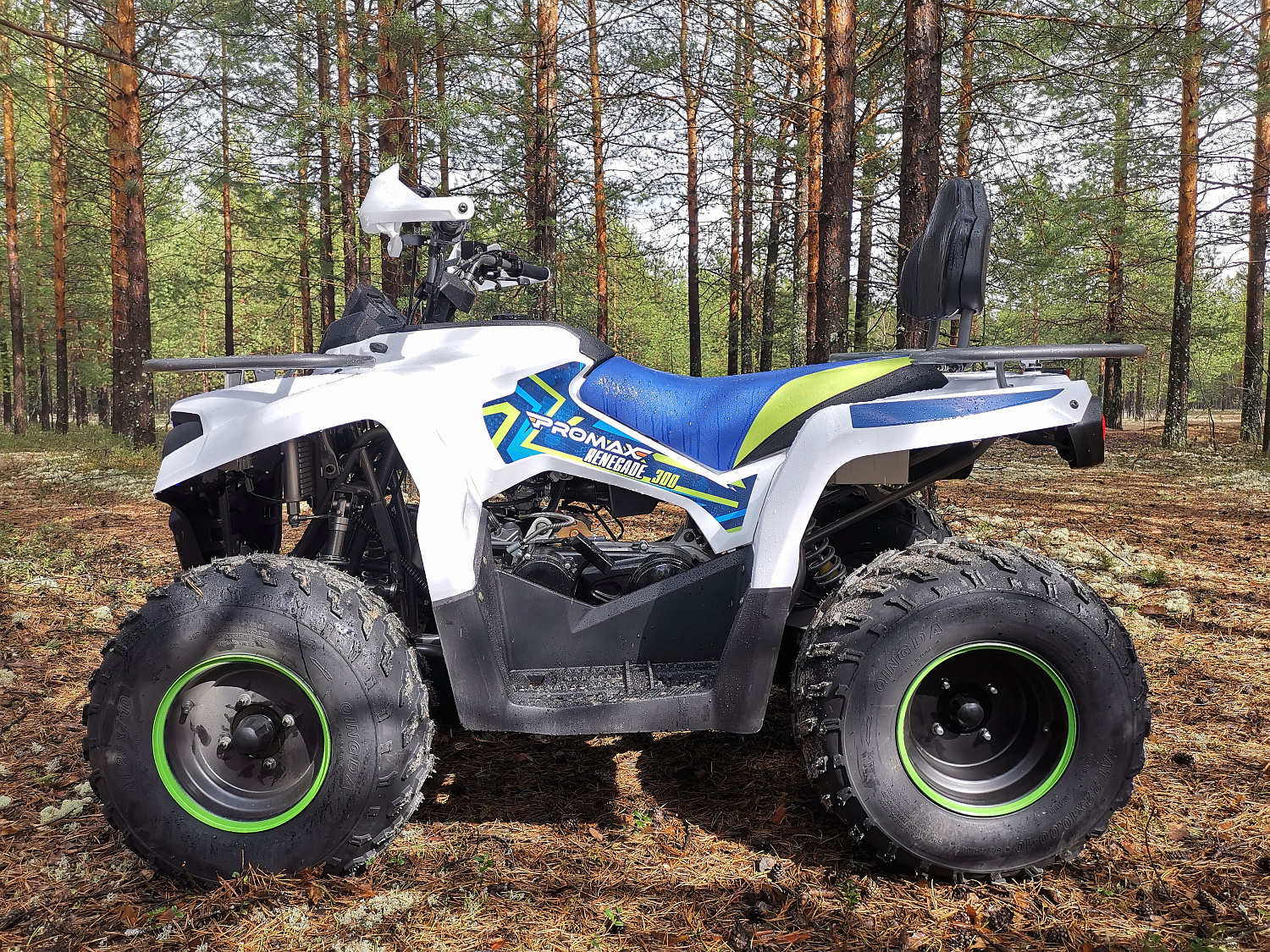 Квадроцикл PROMAX RENEGADE 280 (2025) в Магнитогорске