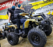 Квадроцикл PROMAX ATV 250 (2025) в Магнитогорске