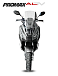 МаксиСкутер PROMAX-HONDA ADV 150 (49) (Inspired by HONDA) в Магнитогорске