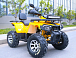 Квадроцикл MOTOLAND (МОТОЛЕНД) VOX200 WILD TRACK X PRO (баланс. вал) в Магнитогорске