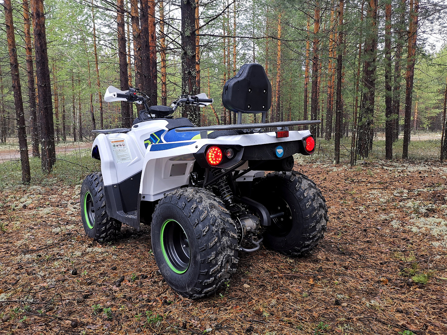 Квадроцикл PROMAX RENEGADE 280 (2025) в Магнитогорске