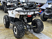 Квадроцикл PROMAX WILD 2.0 190 LUX в Магнитогорске