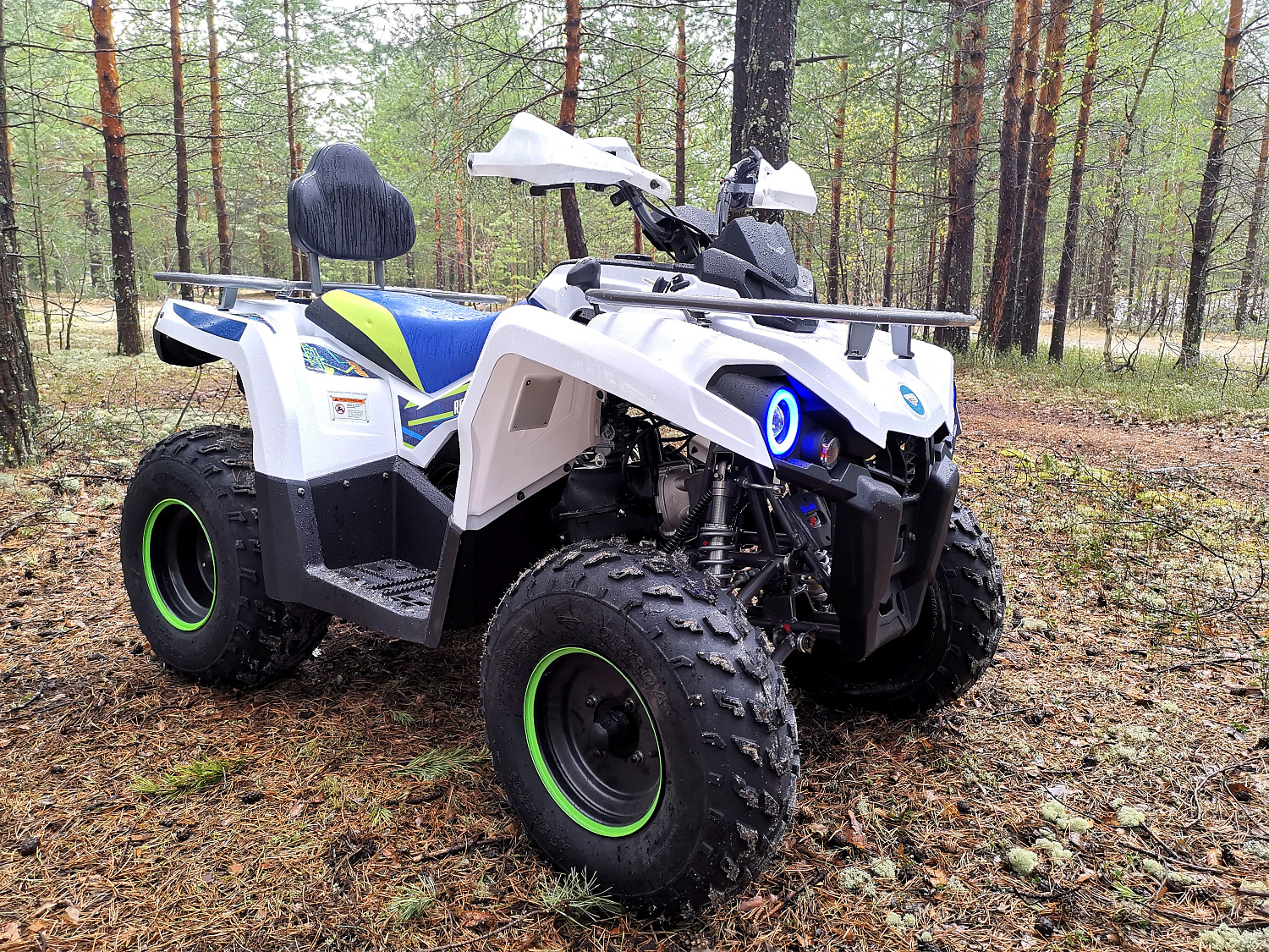 Квадроцикл PROMAX RENEGADE 280 (2025) в Магнитогорске