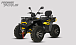 Квадроцикл PROMAX TAURUS 300 MAX-PRO LONG в Магнитогорске